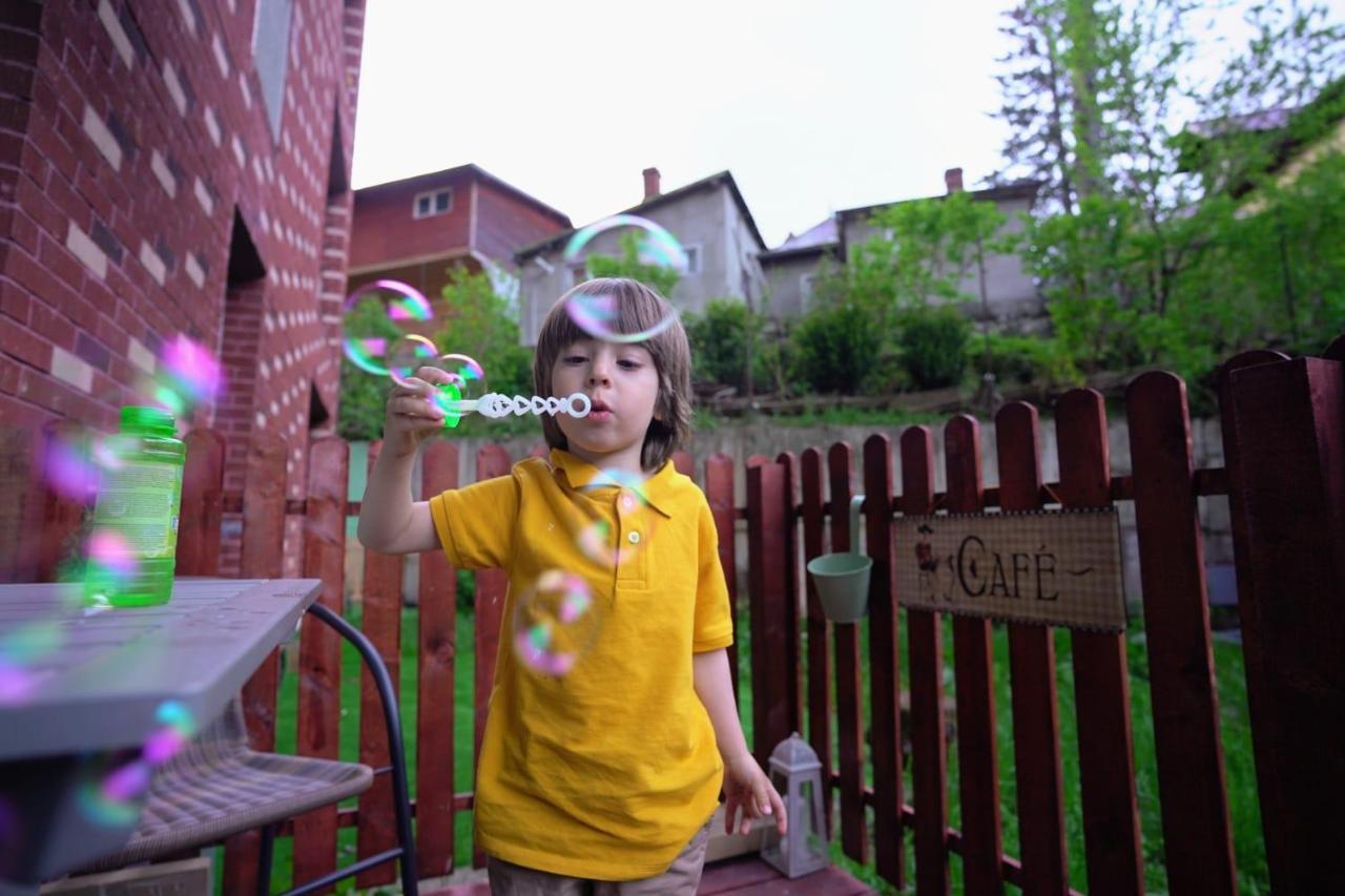 Bubbles Studio Sinaia With Terrace 外观 照片