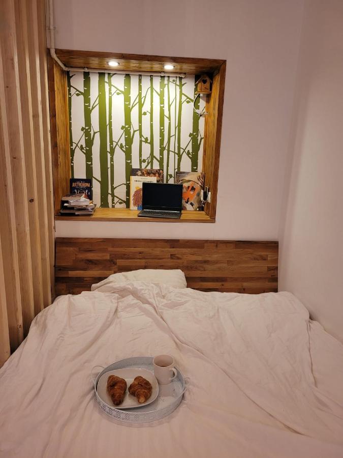 Bubbles Studio Sinaia With Terrace 外观 照片