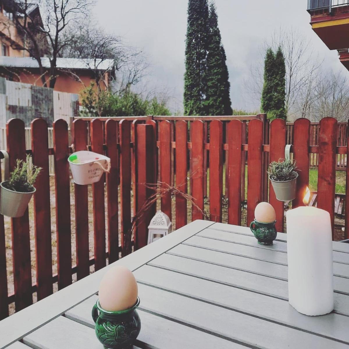 Bubbles Studio Sinaia With Terrace 外观 照片